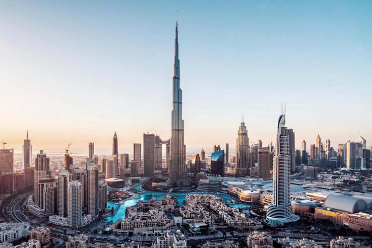 نائب وزير التعليم للجامعات والبحث والابتكار يلتقي الرئيس